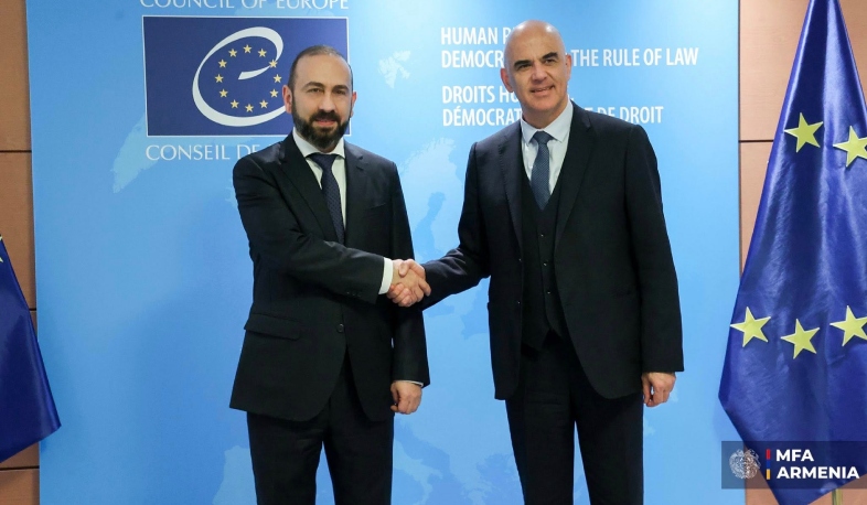 Ժողովրդավարություն, անվտանգություն և ապատեղեկատվության դեմ պայքար. ի՞նչ են քննարկել Միրզոյանն ու Բերսեն