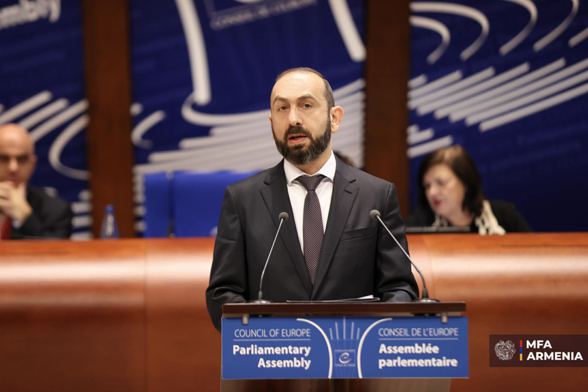 We proved that our nation can choose its own destiny: Mirzoyan at PACE