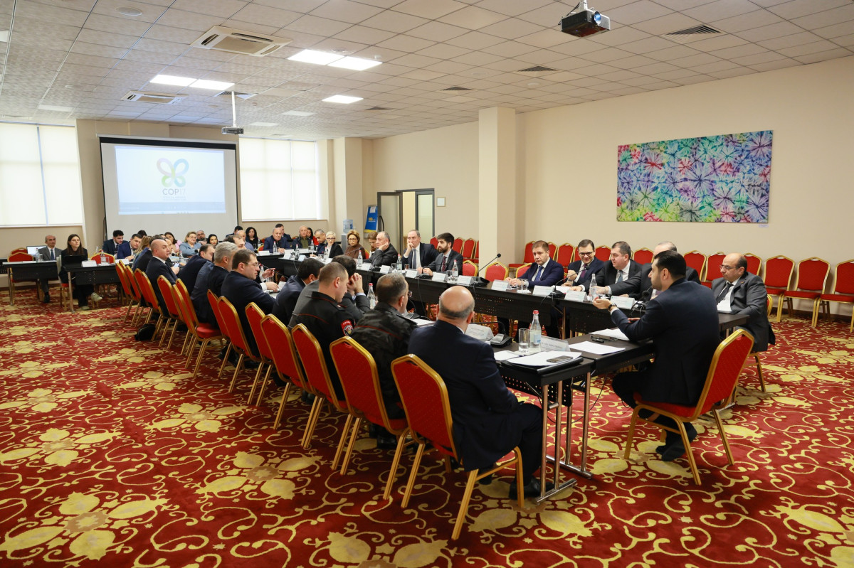 COP17-ի կազմկոմիտեի հերթական հանդիպմանը քննարկվել են համաժողովին առնչվող կազմակերպչական և լոգիստիկ հարցեր