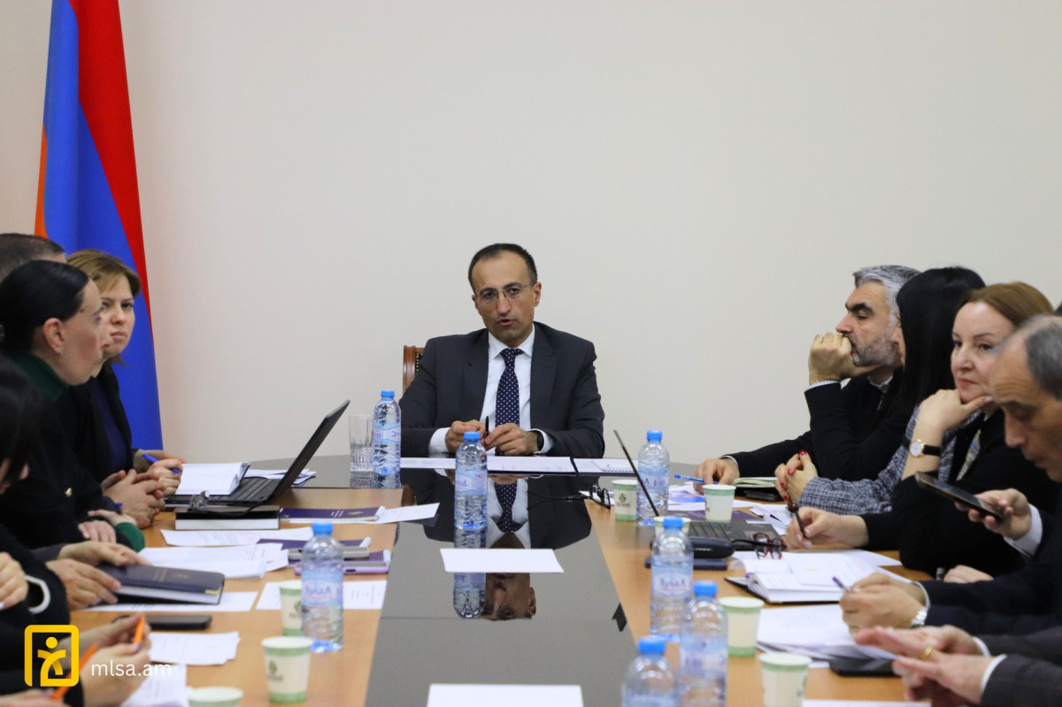 Քննարկվել են խնամատարության ինստիտուտի զարգացման ուղղությամբ նախատեսվող քայլերը