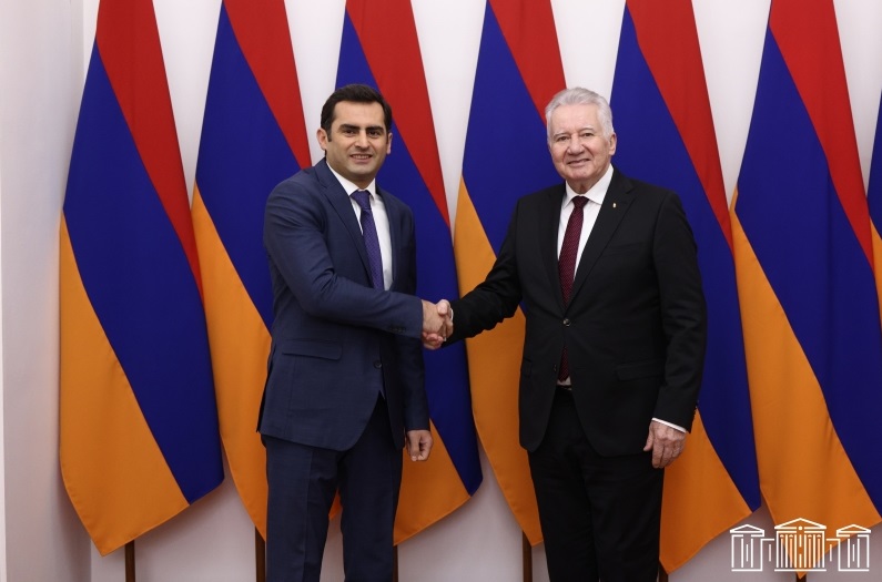 Hakob Arşakyan və Macarıstan Parlamentinin sədr müavini TRIPP layihəsini müzakirə ediblər