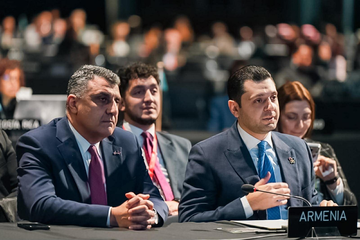 «Taking action for nature»․ Հայաստանի ուղերձը IPBES-12-ում