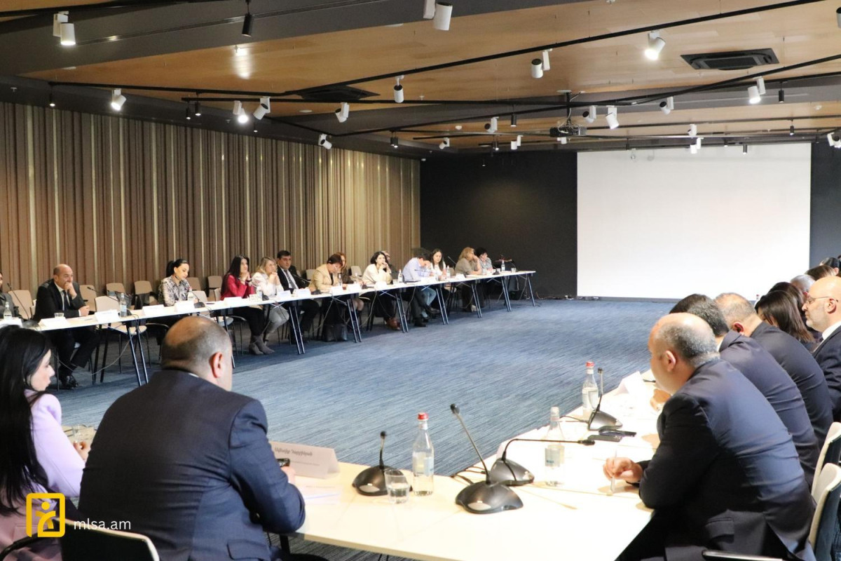 Քննարկվել է ֆիլմերի դասակարգման և դրանց տարիքային սահմանափակումների վերաբերյալ եզրակացություն տրամադրելու վերաբերյալ հարցը