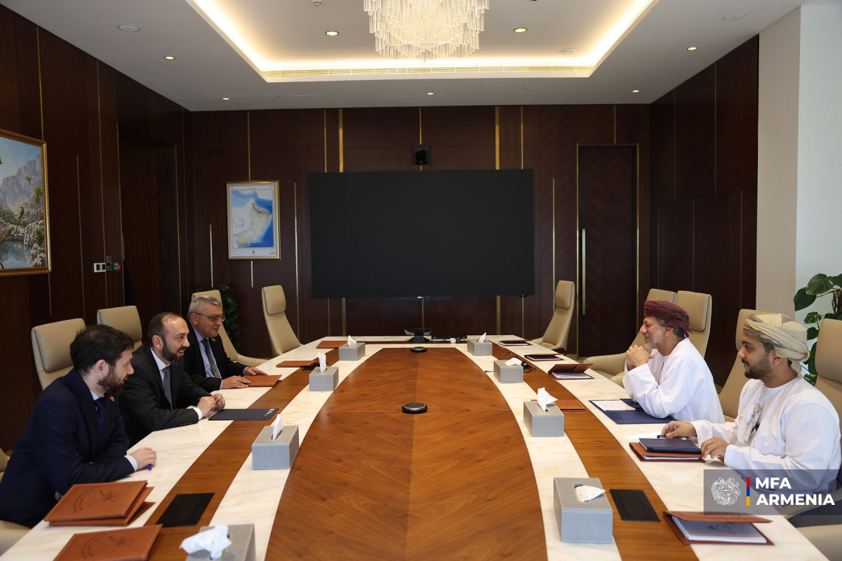Meeting of Foreign Minister of Armenia with President of Oman Investment Authority