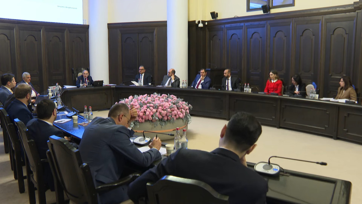 Առաջարկվում է Էներգետիկայի բնագավառում լիցենզավորման ևս մեկ տեսակ ավելացնել. խոսքը պահեստավորման լիցենզիայի մասին է
