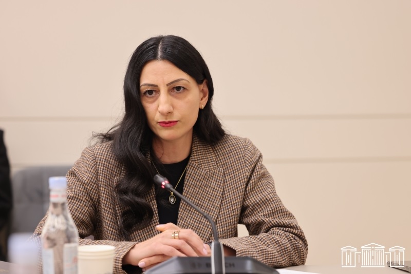 Committee debates annual report on HRD activities and on activities of HRD as a national preventive mechanism for 2025