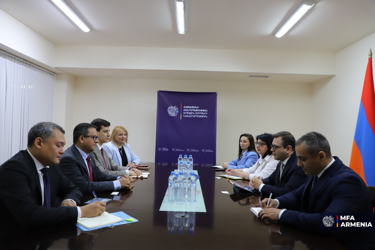 Meeting of the Deputy Foreign Minister of Armenia with the Under Secretary General of the IFRC