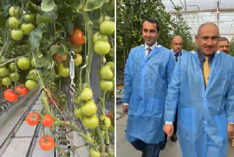 Լճաշենում Կառավարության աջակցությամբ հիմնվել է 10.7 հա մակերեսով ջերմատուն. Փաշինյան