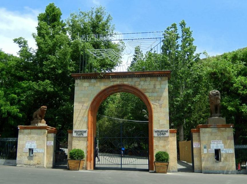 Երևանի կենդանաբանական այգու աշխատակազմից հերքում են լուրը, թե զեբր է փախել