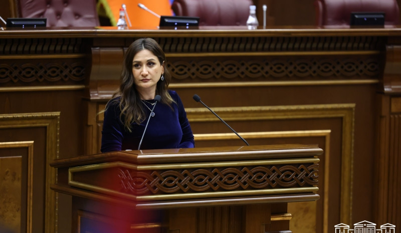 Արուսյակ Ջուլհակյանն ընտրվեց ԱԺ պետական-իրավական հարցերի հանձնաժողովի նախագահ