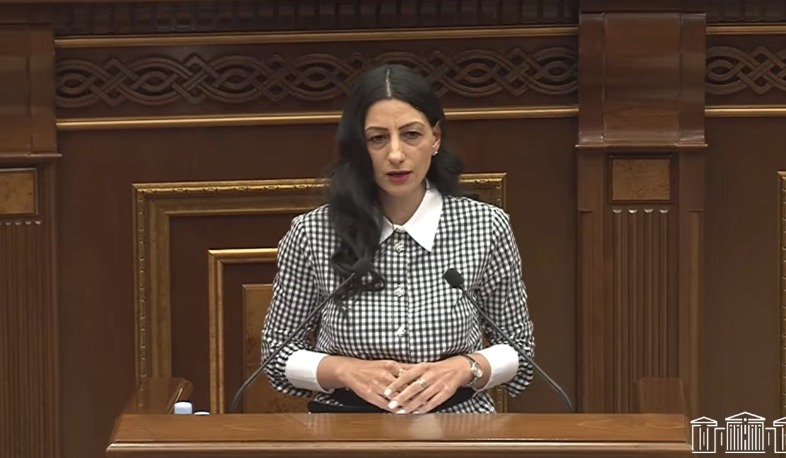 ՄԻՊ-ը՝ խոսքի ազատության սահմանների խախտման համար քրեական պատասխանատվության գործիքների կիրառման վերաբերյալ