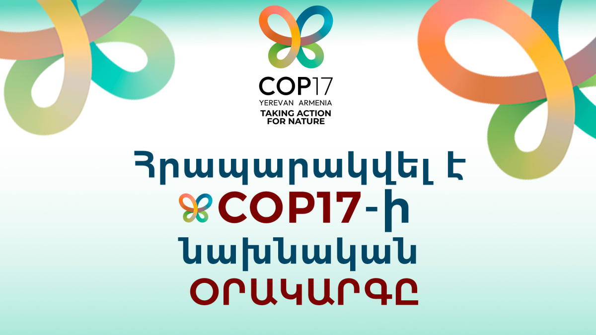 Հրապարակվել է COP17-ի նախնական օրակարգը