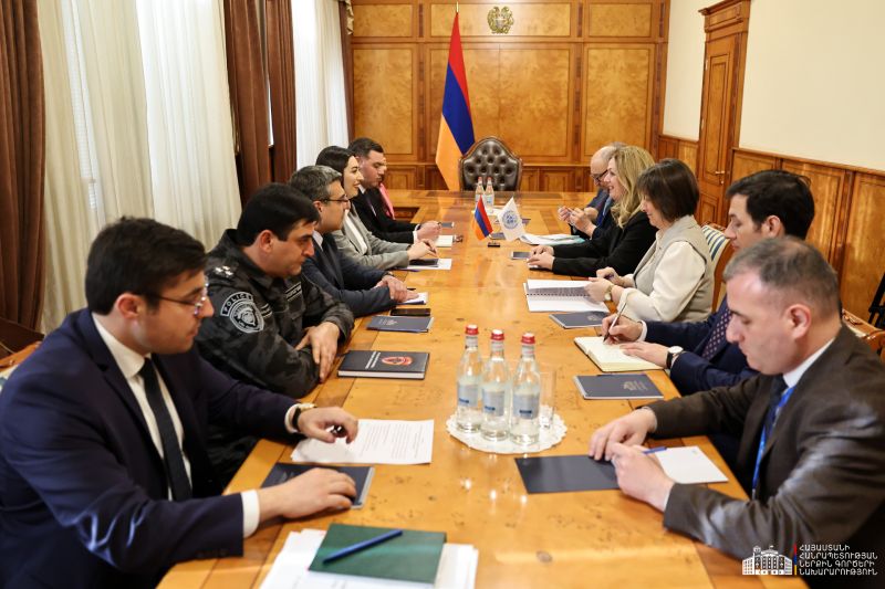 ՆԳ նախարարությունը ՄԱԿ-ի Զարգացման ծրագրի լավագույն գործընկերներից է․ Արփինե Սարգսյանը ընդունել է Իվանա Ժիվկովիչին