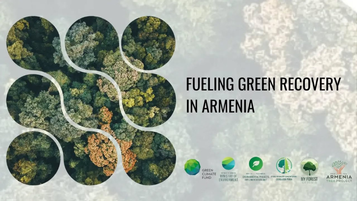 500 հեկտար նոր անտառ մինչև 2030 թվականը