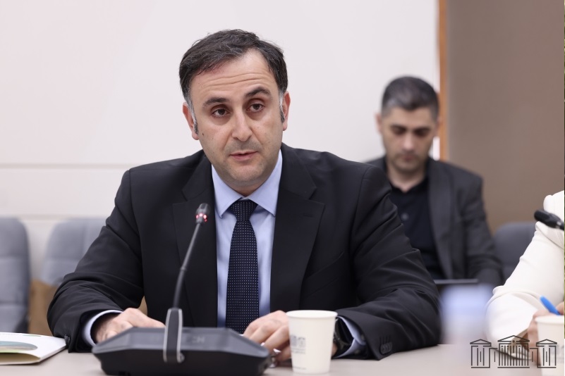 Առաջարկվում է արմատապես բարեփովել բնապահպանական կառավարման ոլորտը