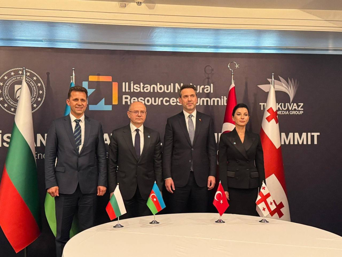 Energy ministers of Azerbaijan, Georgia, Turkey and Bulgaria meet