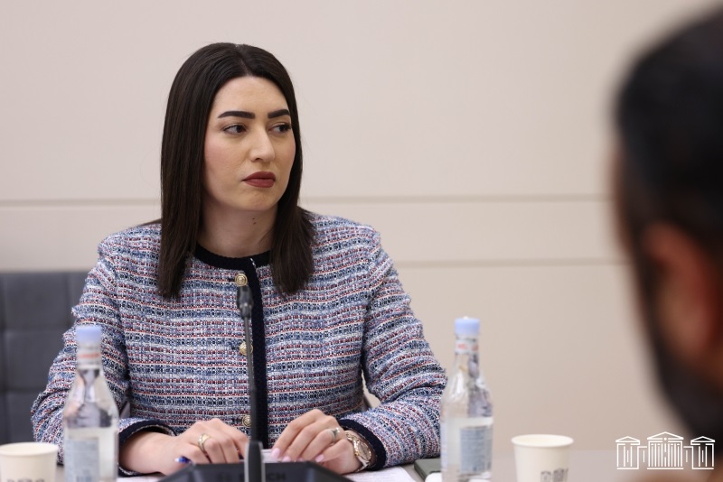 ՆԳ նախարարն ԱԺ-ում ներկայացրել է վարորդական իրավունքի վերականգնման նոր մոդելը