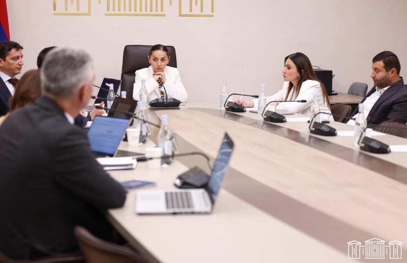 Ազգային ժողովում քննարկվել է 2026 թ. պետբյուջեի առաջին եռամսյակի կատարման ընթացքի վերաբերյալ տեղեկանքը