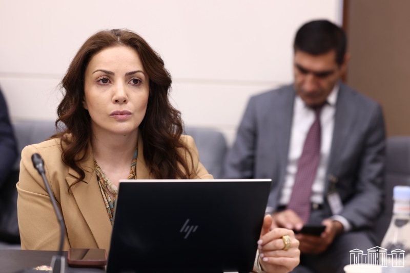 Նախատեսվում է իրականացնել Սիսիան, Գորիս, Մեղրի համայնքների ոռոգման համակարգերի վերականգնում ու արդիականացում