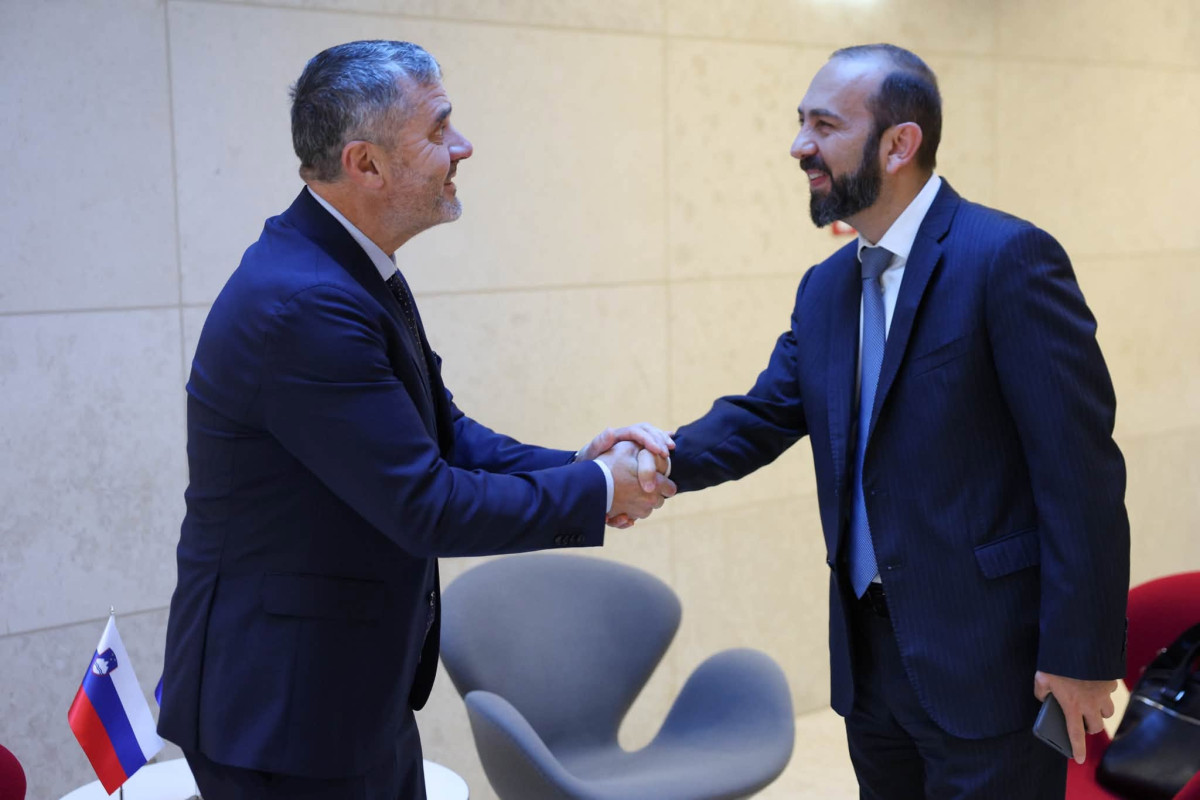 Armenia and Slovenia are developing cooperation: Mirzoyan met with his counterpart