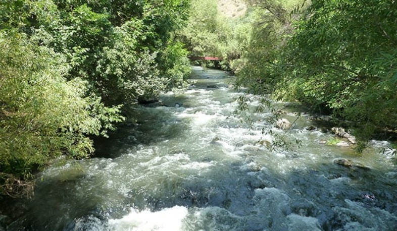 Փամբակ գետում դի է հայտնաբերվել