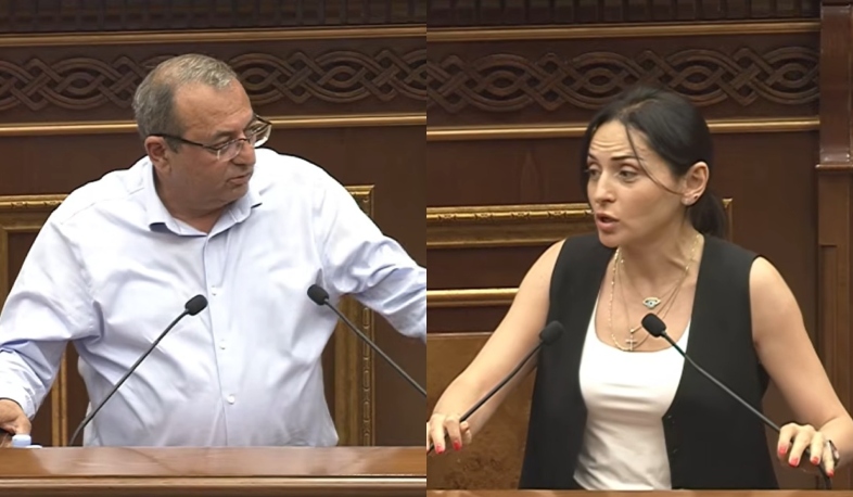 Կոռեկտության սահմանների մեջ Ձեզ պահեք. բանավեճ ԱԺ-ում