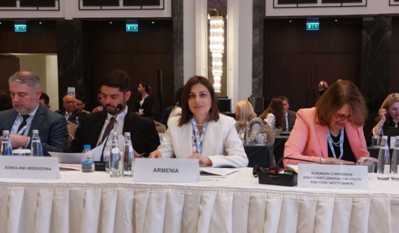 Անահիտ Ավանեսյանը Ստամբուլում մասնակցում է առողջապահական համակարգերի պատրաստվածությանը նվիրված համաժողովին