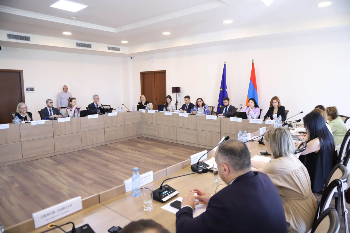 Results of reforms were presented in Armenia-EU human rights dialogue