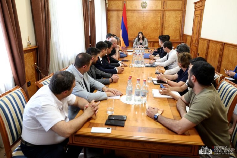 Վիզաների ազատականացման գործընթացը՝ որակական բարեփոխումների կարևոր մաս․ տեղի է ունեցել ՆԳ նախարարին կից հասարակական խորհրդի նիստը