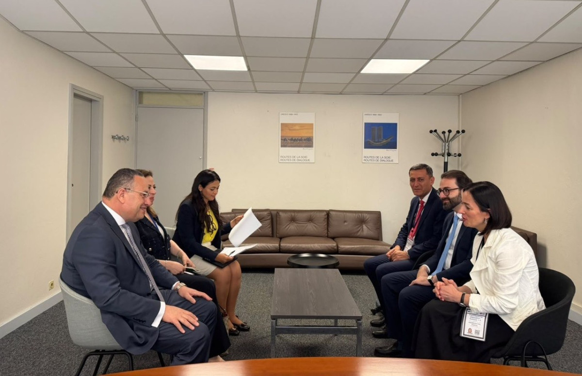Քննարկվել են Հայաստան- Եգիպտոս համագործակցության հեռանկարները բարձրագույն կրթության և գիտության ոլորտում