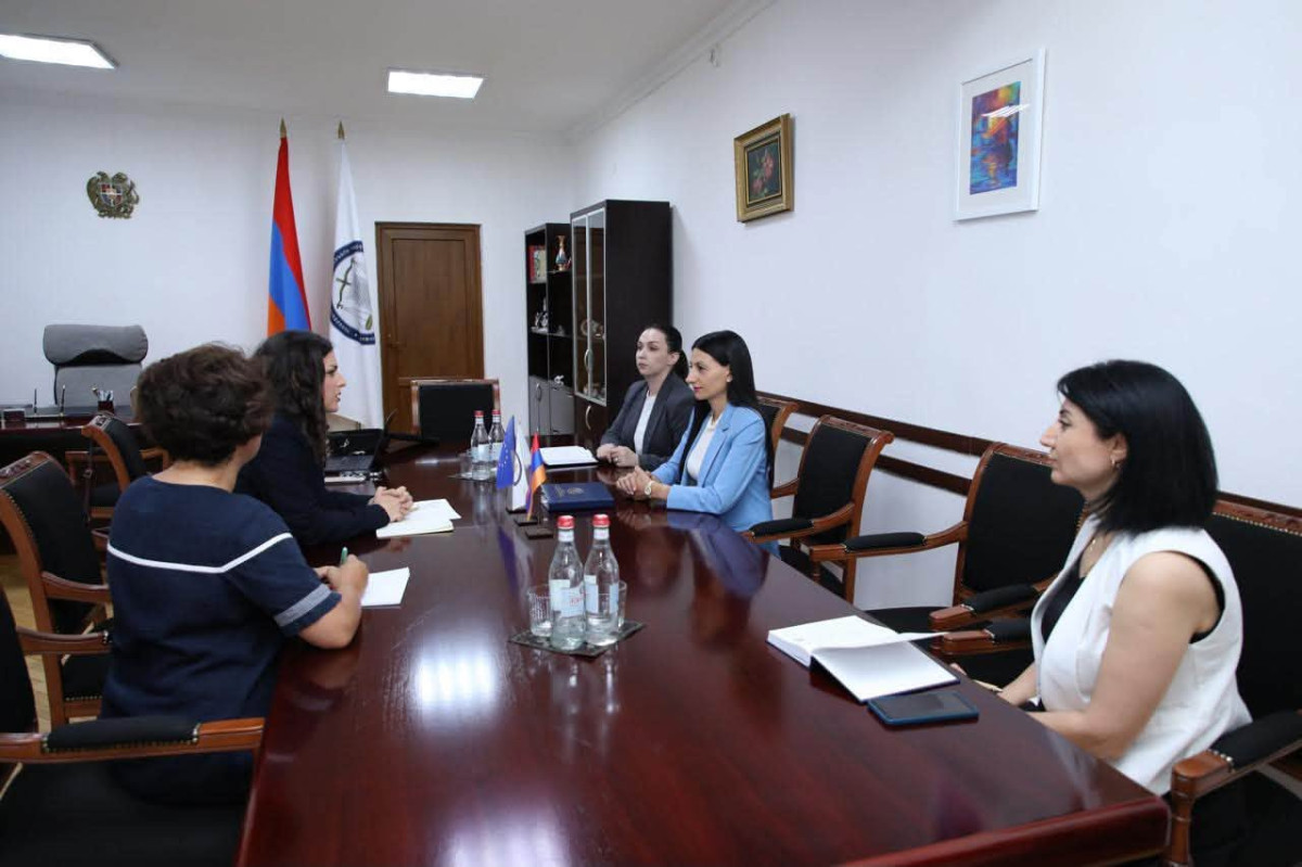 Ombudsperson of Armenia presented human rights issues in Armenia to member of EU Parliament
