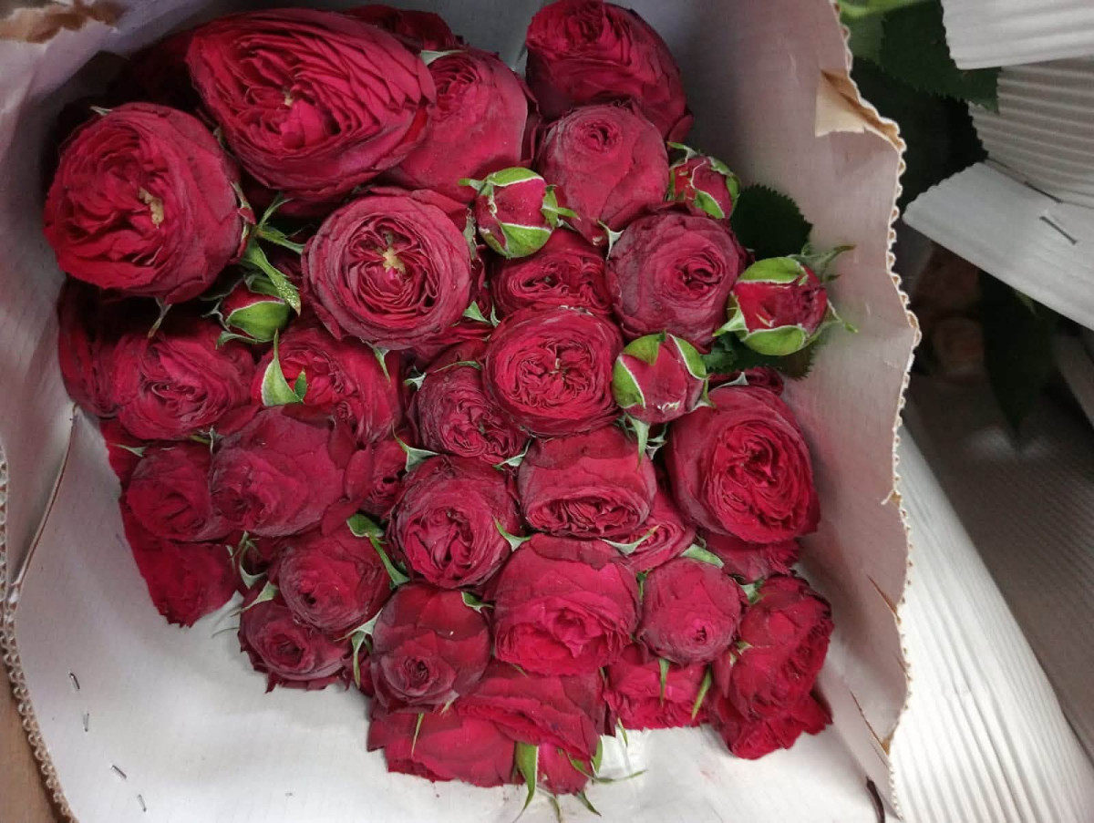 Armenian flowers entered UAE market: Gevorg Papoyan