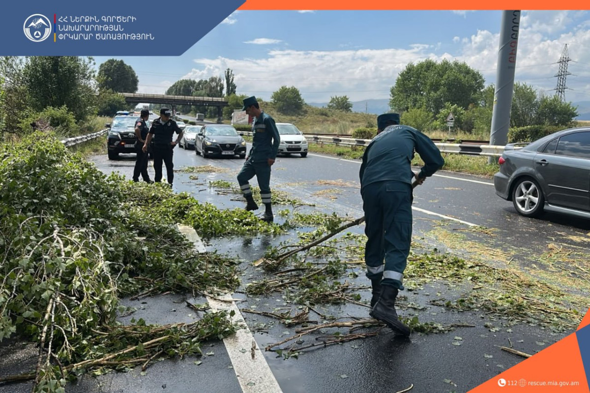 Երևան-Սևան ավտոճանապարհին ծառը կողաշրջվել է. փրկարարները հեռացրել են այն