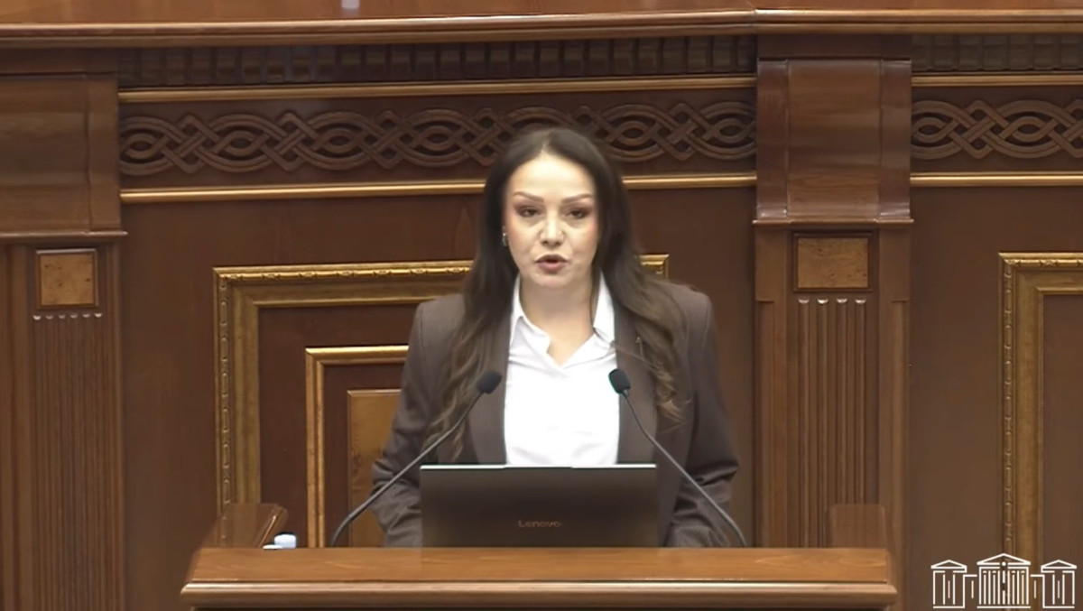 Քննարկվում է ԱԺ ֆինանսավարկային և բյուջետային հարցերի հանձնաժողովի նախագահի պաշտոնում Լիանա Մանուկյանի թեկնածությունը