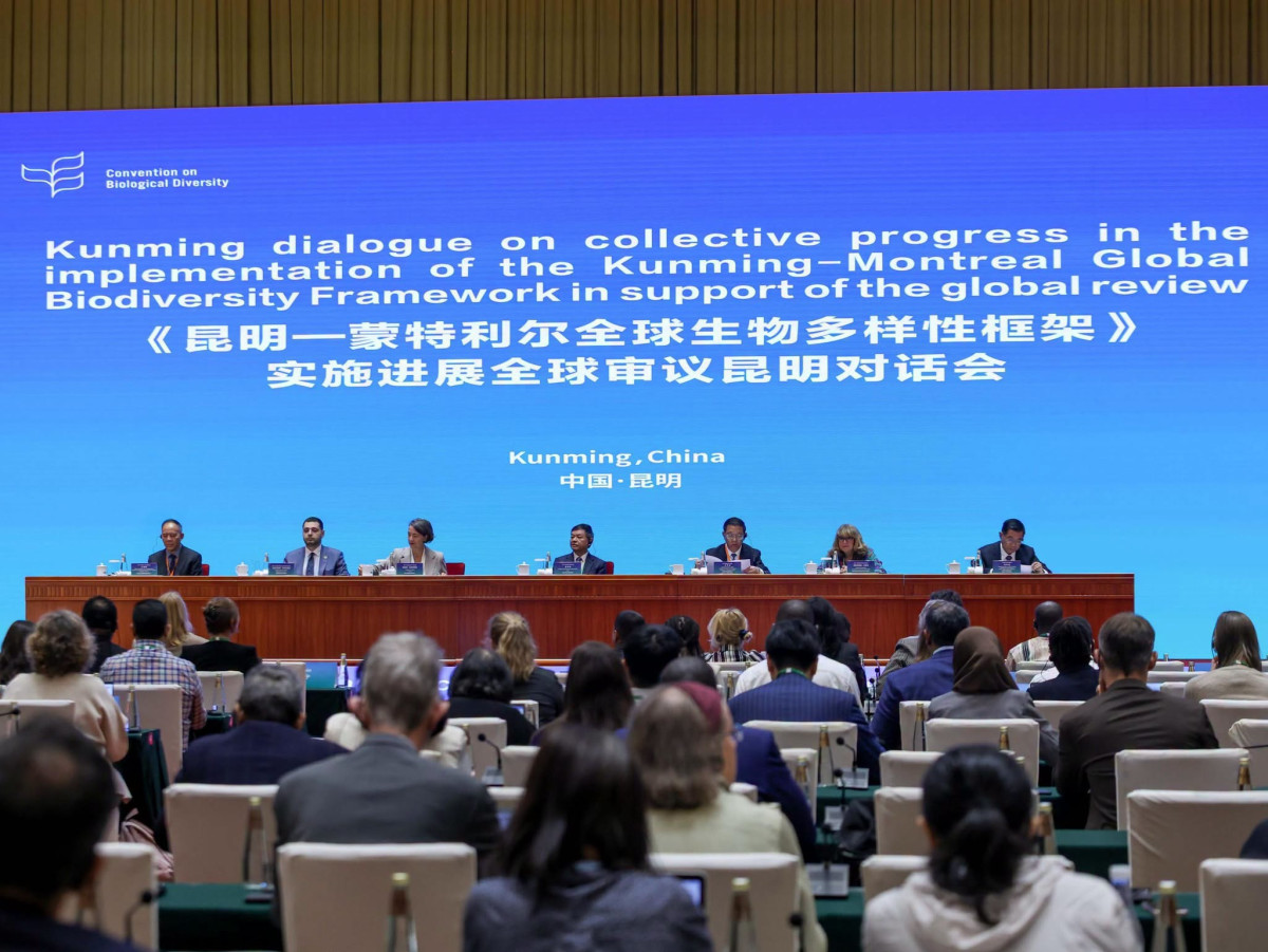 Հայաստանի՝ COP17-ի նախագահության ուղերձն է՝ «Գործելով հանուն բնության». Համբարձում Մաթևոսյանը մասնակցել է «Կունմինգի երկխոսությանը»