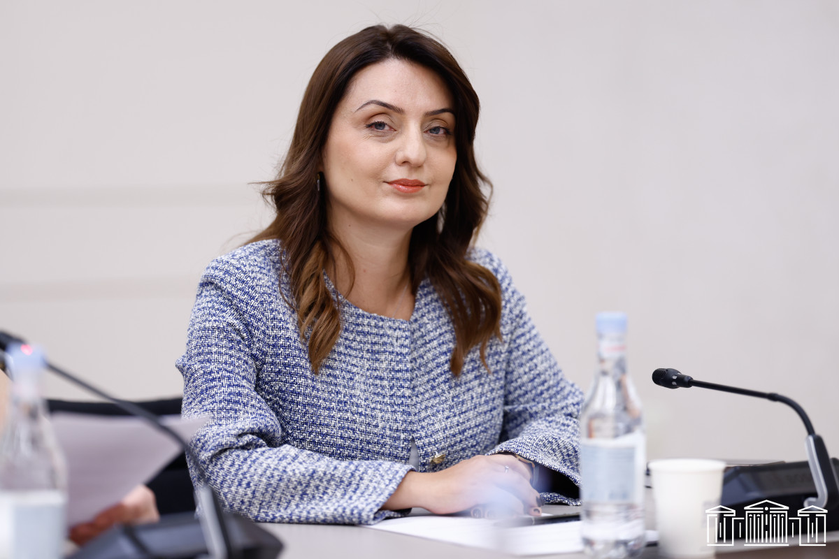 Զարուհի Բաթոյանն ընտրվել է ԱԺ առողջապահության հարցերի մշտական հանձնաժողովի նախագահի տեղակալ