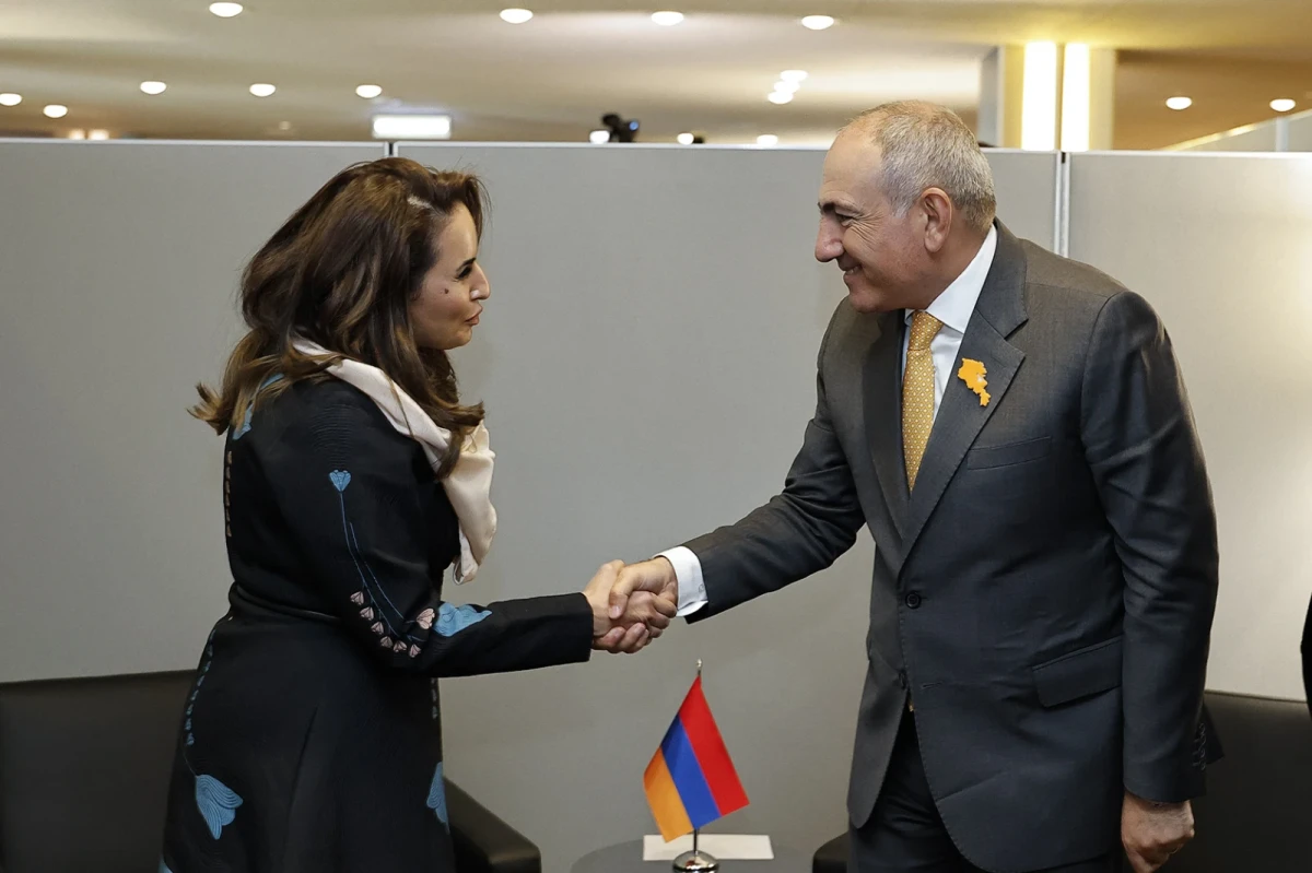 Քննարկվել են Թվային համագործակցության կազմակերպության հետ կապերի զարգացման հնարավորությունները