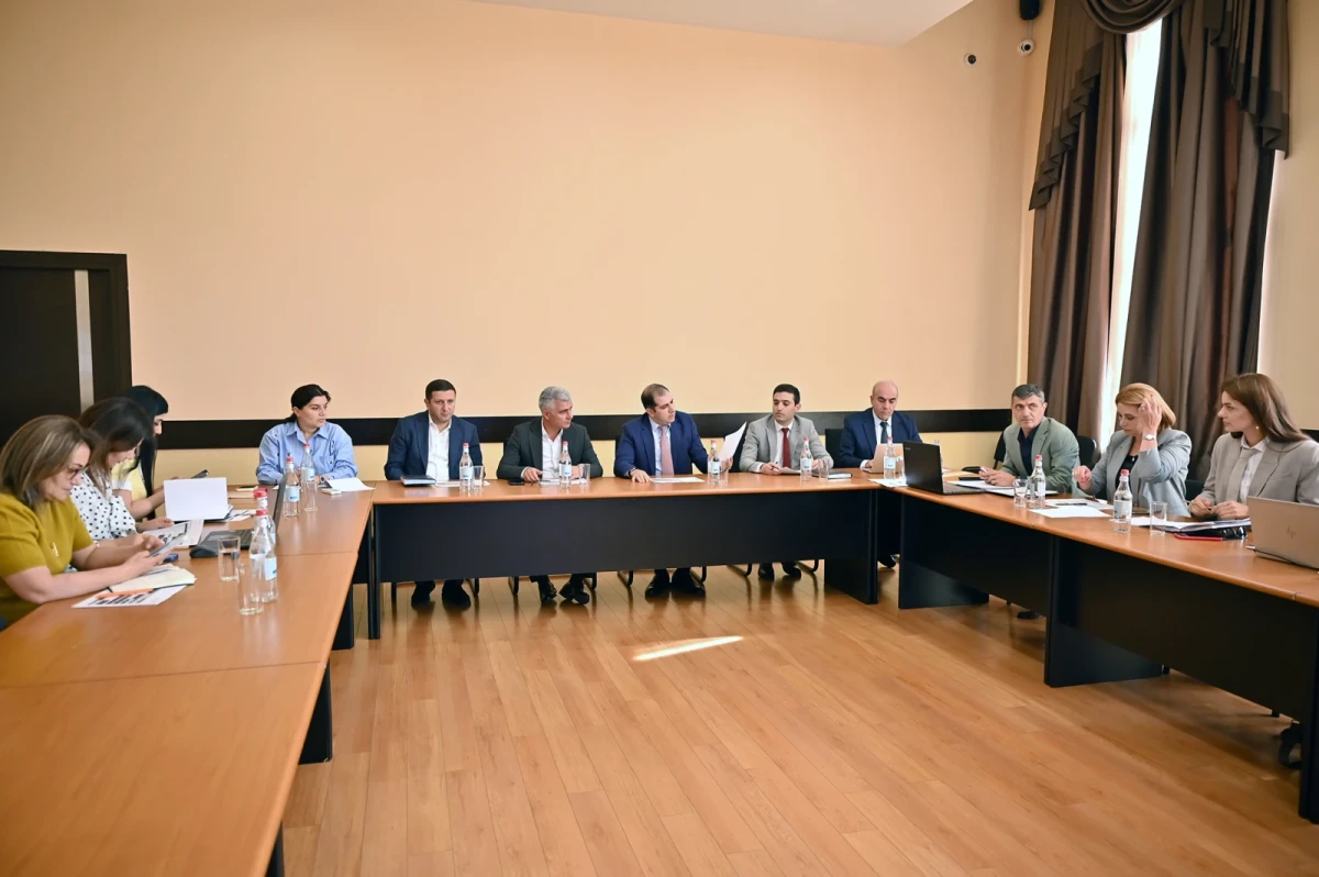 ՊԵԿ ներքին աուդիտի կոմիտեի նիստում քննարկվել է ներքին աուդիտի բարեփոխումների ճանապարհային քարտեզը