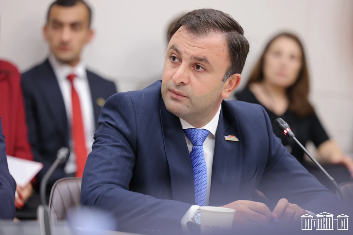Արգիշտի Դարբինյանն ընտրվել է Տնտեսական հարցերի մշտական հանձնաժողովի նախագահի տեղակալ