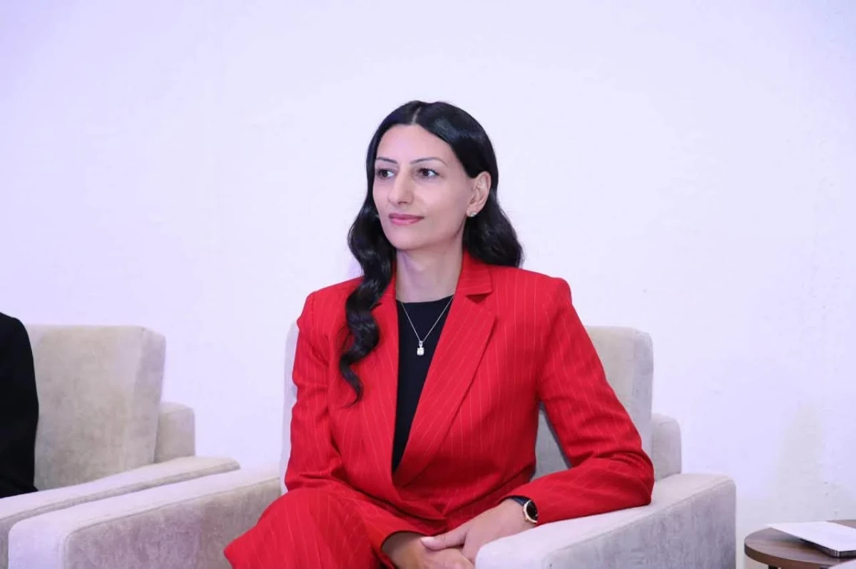 Հայաստանը պետք է ընդունի հակա-SLAPP օրենսդրություն․ Անահիտ Մանասյան