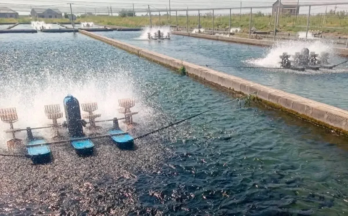 Շուրջ 60 միլիոն դրամի վնաս ջրային ռեսուրսներին․ ներկայացվել է հանցագործության մասին հաղորդում. ԲԸՏՄ