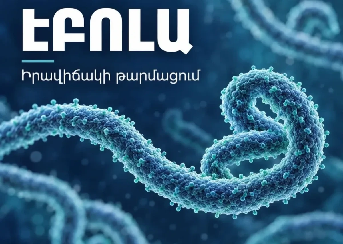 Էբոլան տարածվում է Աֆրիկայում. ՀՀ-ում տարածման ռիսկը ցածր է