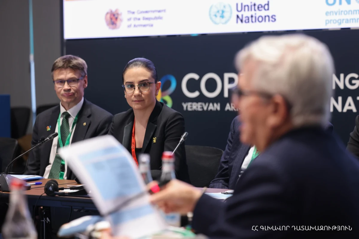 Բնության հատուկ պահպանվող, այդ թվում՝ կանաչ տարածքները, չեն կարող հանդիսանալ մասնավոր սեփականություն, դրանք Հայաստանի ներկա ու ապագա սերունդներինն են. Գլխավոր դատախազ