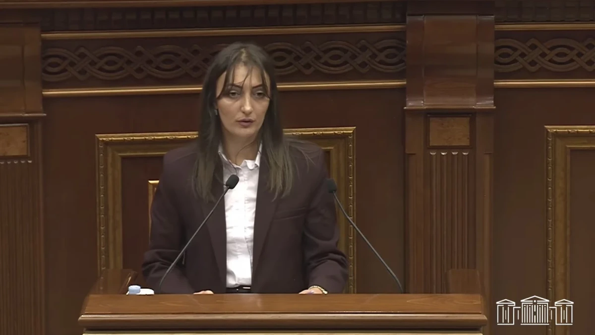 Շաքարի շուկայում ներմուծողների թիվն ավելացել է. Շուշան Սարգսյան