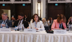 Anahit Avanesyan İstanbulda səhiyyə sisteminin hazırlığına həsr olunmuş konfransda iştirak edir