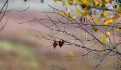 Օդի ջերմաստիճանը կնվազի 3-5 աստիճանով