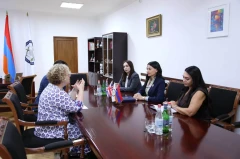 Շարունակել համատեղ ջանքերը մարդու իրավունքների պաշտպանության ուղղությամբ․ ՄԻՊ-ն ընդունել է  դեսպան Քոուլին
