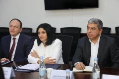 Քննարկվել են Հայաստանում կախվածությունների կանխարգելման և բուժման ուղղությամբ իրականացվող աշխատանքները