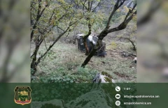 Փայտանյութով բեռնված «ՈՒԱԶ»-ի վարորդը, էկոպարեկներին տեսնելով, փորձել է փախուստի դիմել. մեքենան կողաշրջվել է