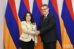 Նազելի Բաղդասարյանը և Չեխիայի խորհրդարանի Սենատի հանձնաժողովի նախագահը քննարկել են ժողովրդագրական իրավիճակը